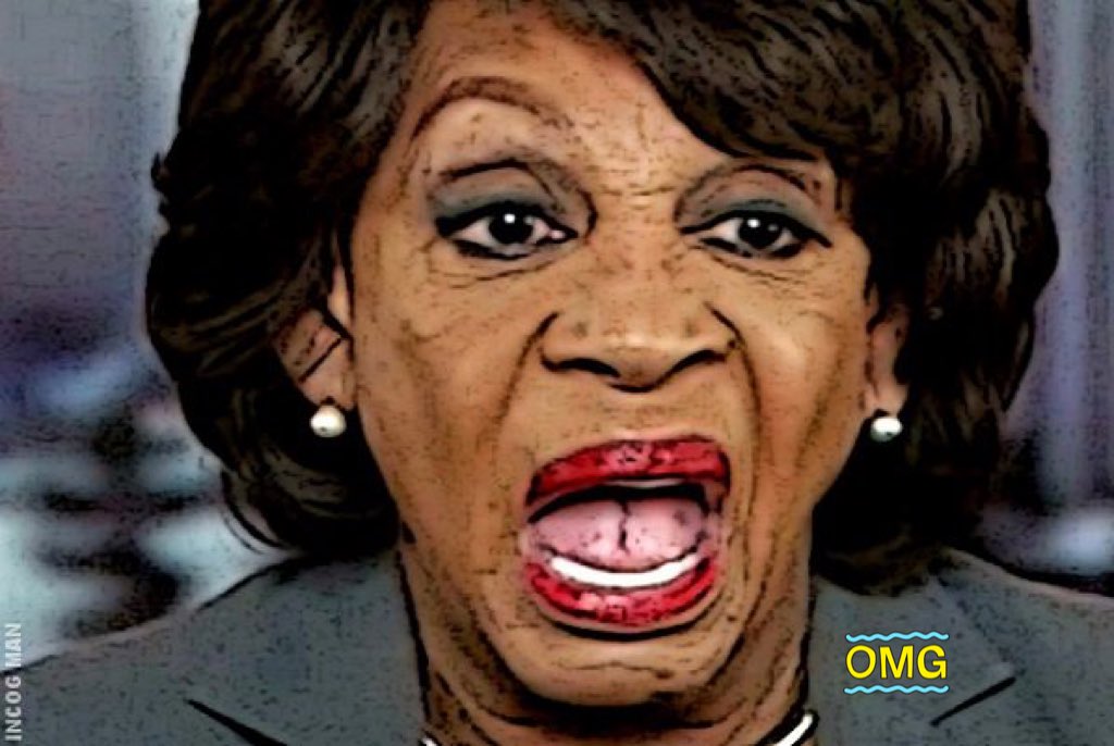 . said congresswoman maxine waters' hair looks like she's wearing a