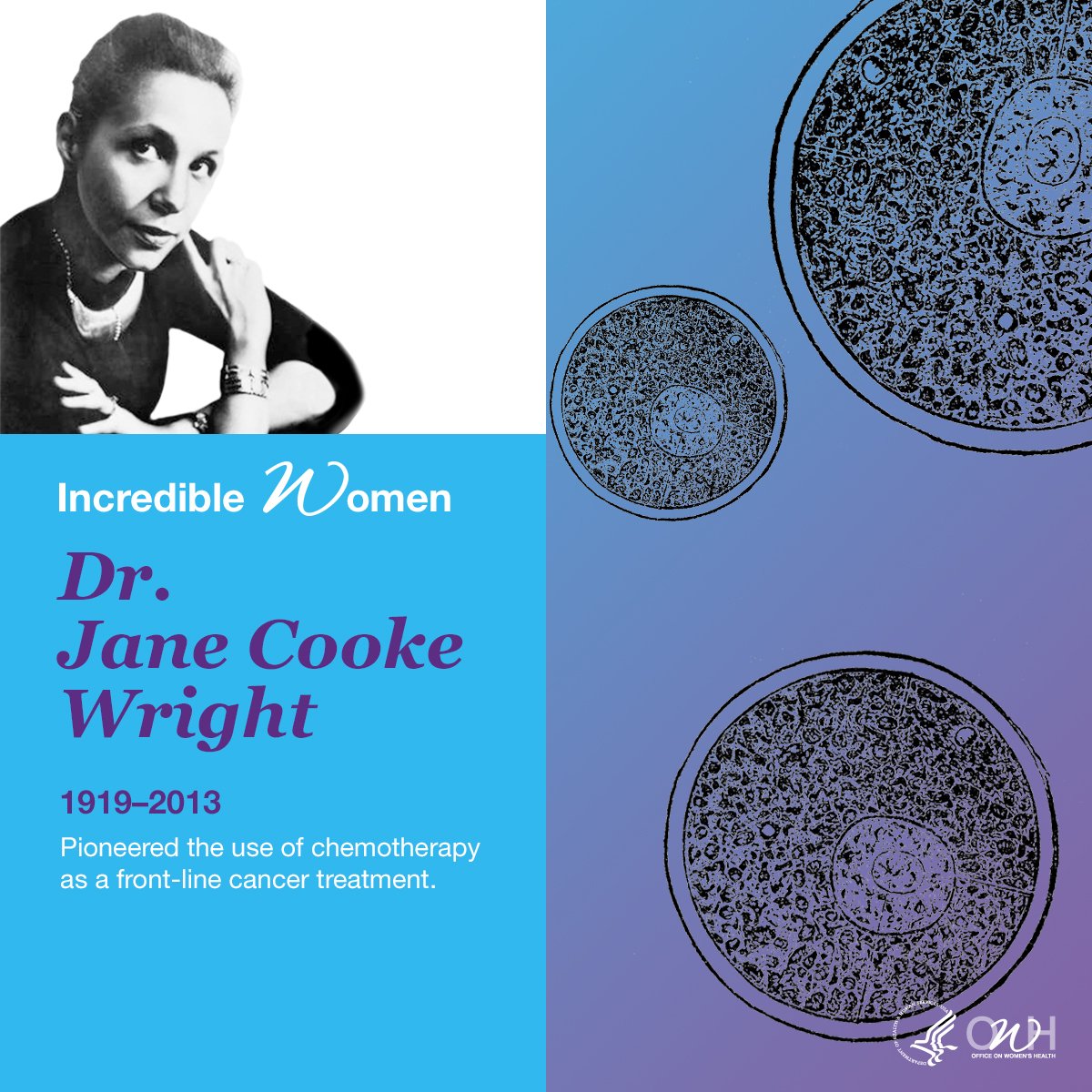 Dr Jane Cooke: A founder of ASCO, Dr. Jane Cooke Wright’s cancer