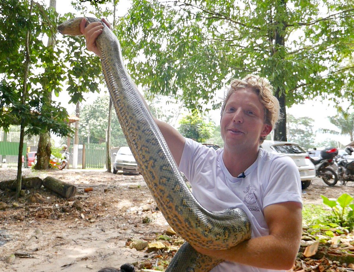 Jack found another friend!! #anaconda #Amazon  @AntoniaMelville @TerriIrwin @bindiirwin https://t.co/hRWvJOINxr