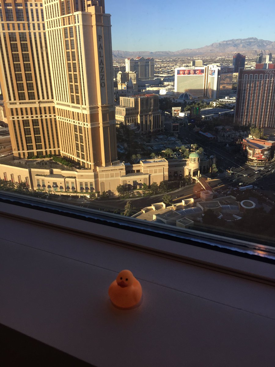 AmandaF_Batista: Good morning, Las Vegas! #Digiduck is ready to kick off #MagentoImagine 🌞 https://t.co/Odyn7UdG9d