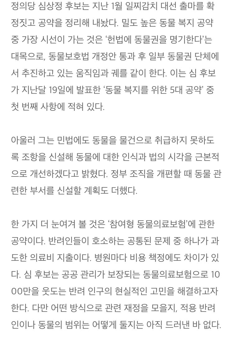 심상정 후보 홍준표 정의당 지지율이 민주당 정당의 kittysister