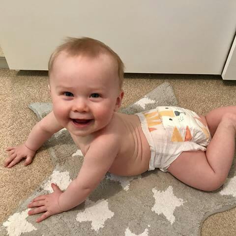 RT @KitandKinUK: Hello to this little tiger...???? https://t.co/LsUfbpvljd