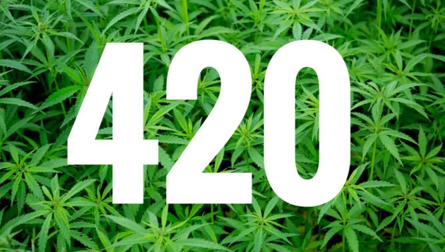 #cannabis