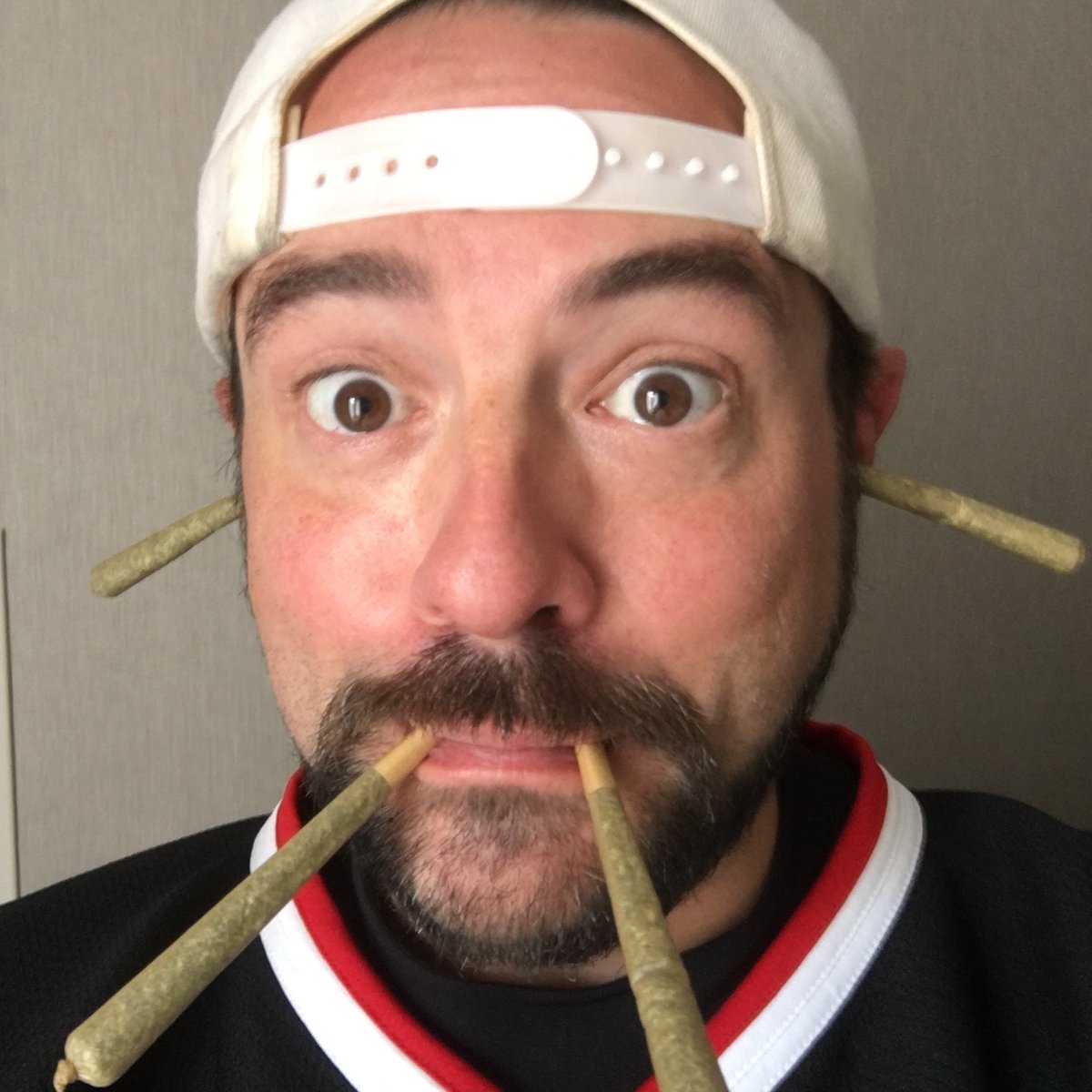Happy 4/20, West Coast! Weed Walrus says celebrate the date by re-watching @tuskthemovie! https://t.co/wYkvdjy9aW