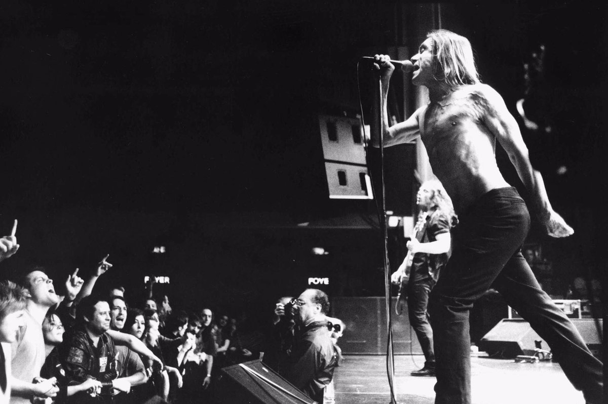 happy birthday iggy pop happy birthday iggy pop