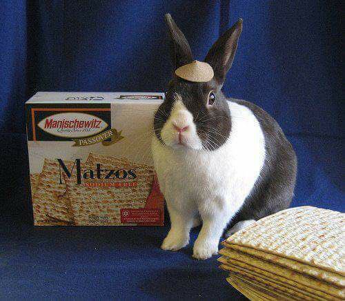 Wishing you all a Happy Passover and Easter! My family is about celebrating it all! ???? https://t.co/Wx1Dfikrzq