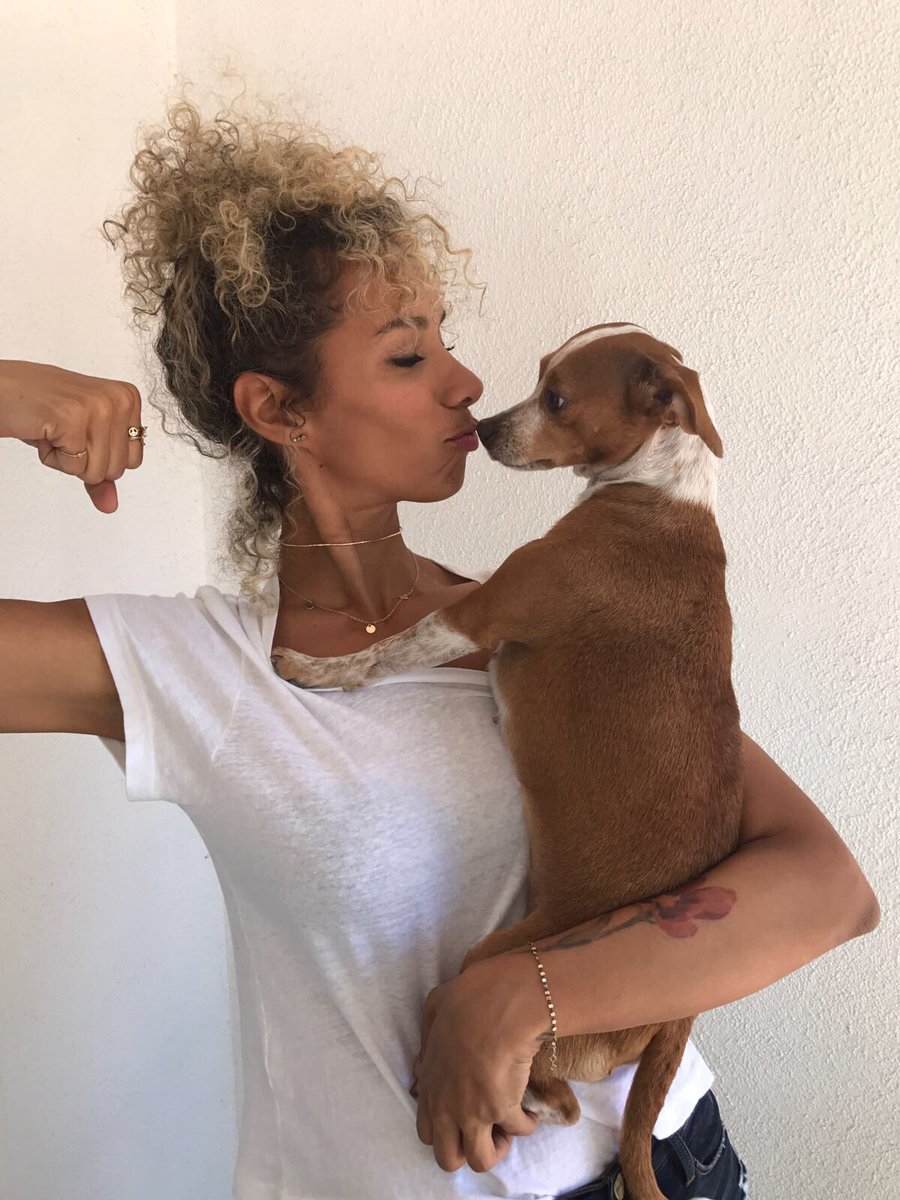 Its time to end the cruel sport of dog fighting. Join the @ASPCA and #GetTough  ! https://t.co/XWTXxgNEqh https://t.co/AqpYpRmevG