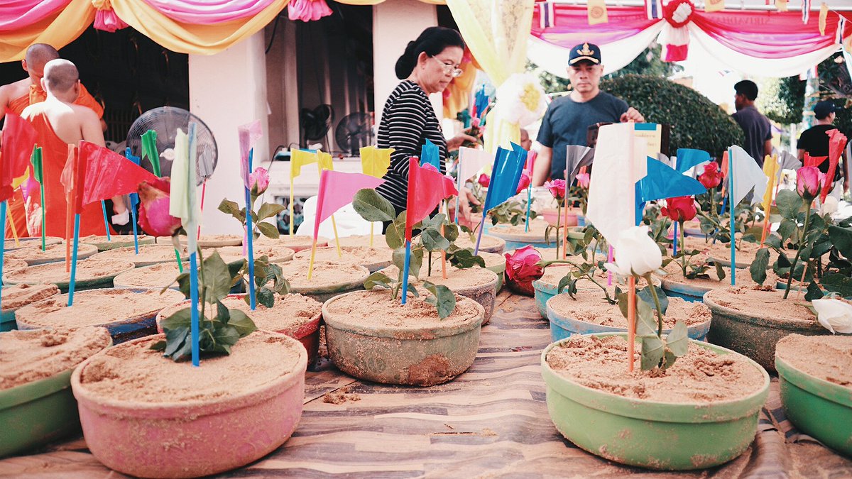 #Waterfestival