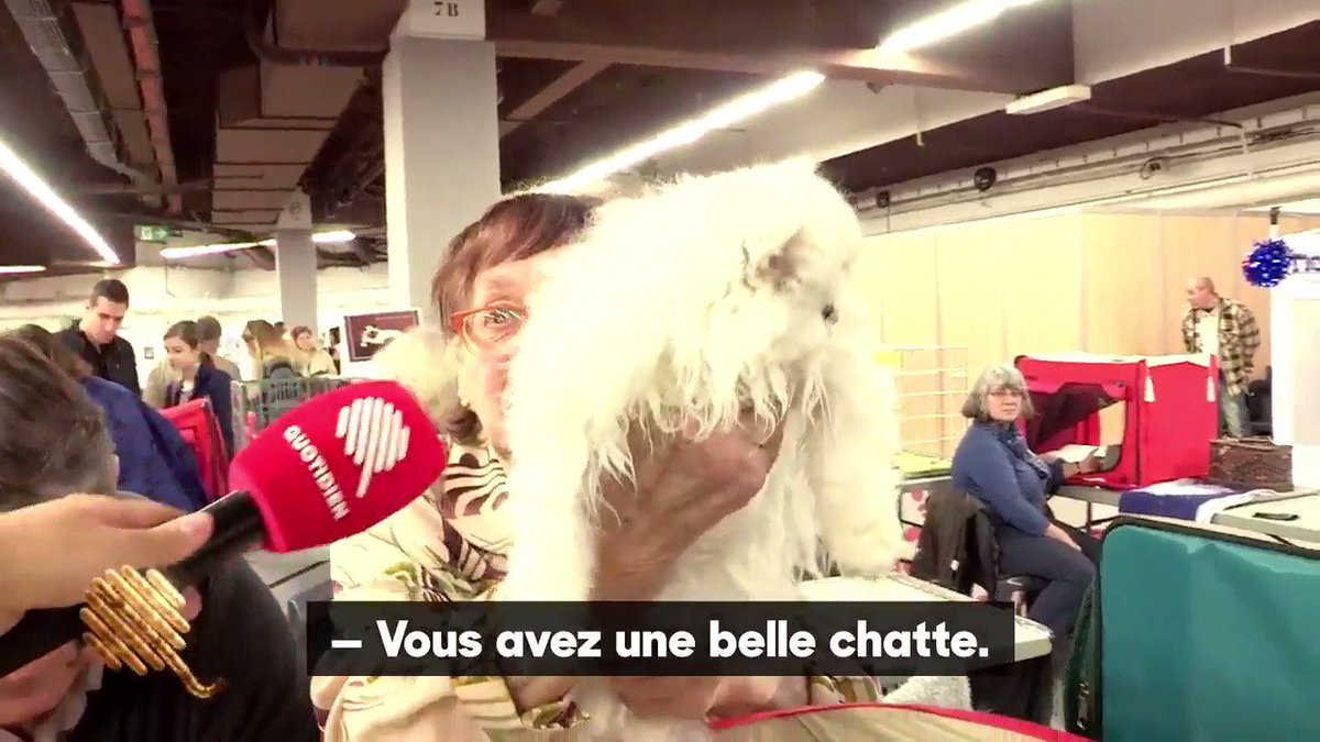 site de rencontre chien et chat