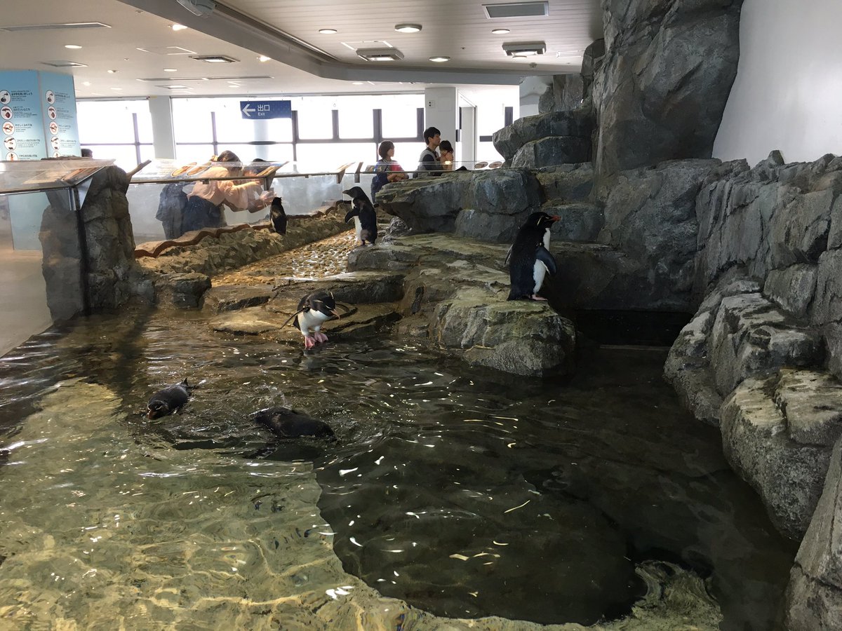 #HuzInJapan