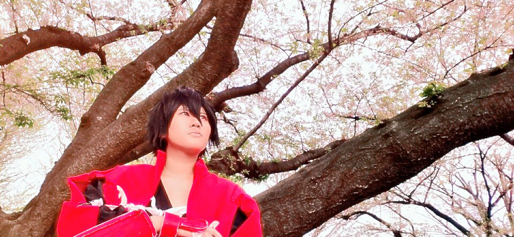 桜でパシャリ#ドリフターズ#drifters 桜でパシャリ#ドリフターズ#drifters