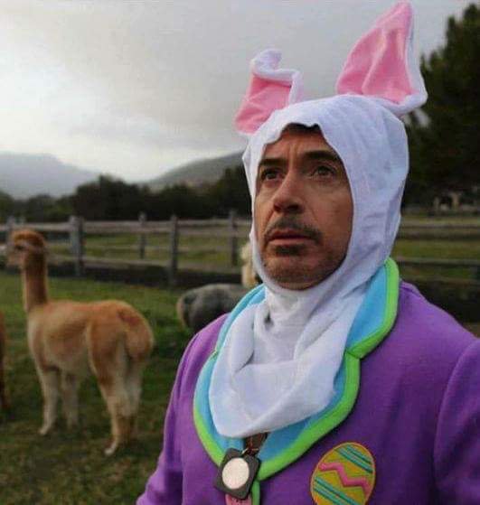 Raise your hand if you're ready for the bunny... #HappyEaster https://t.co/k6gVNQtnKM