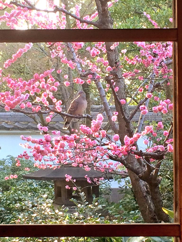 Pin On Wabi Sabi Japan