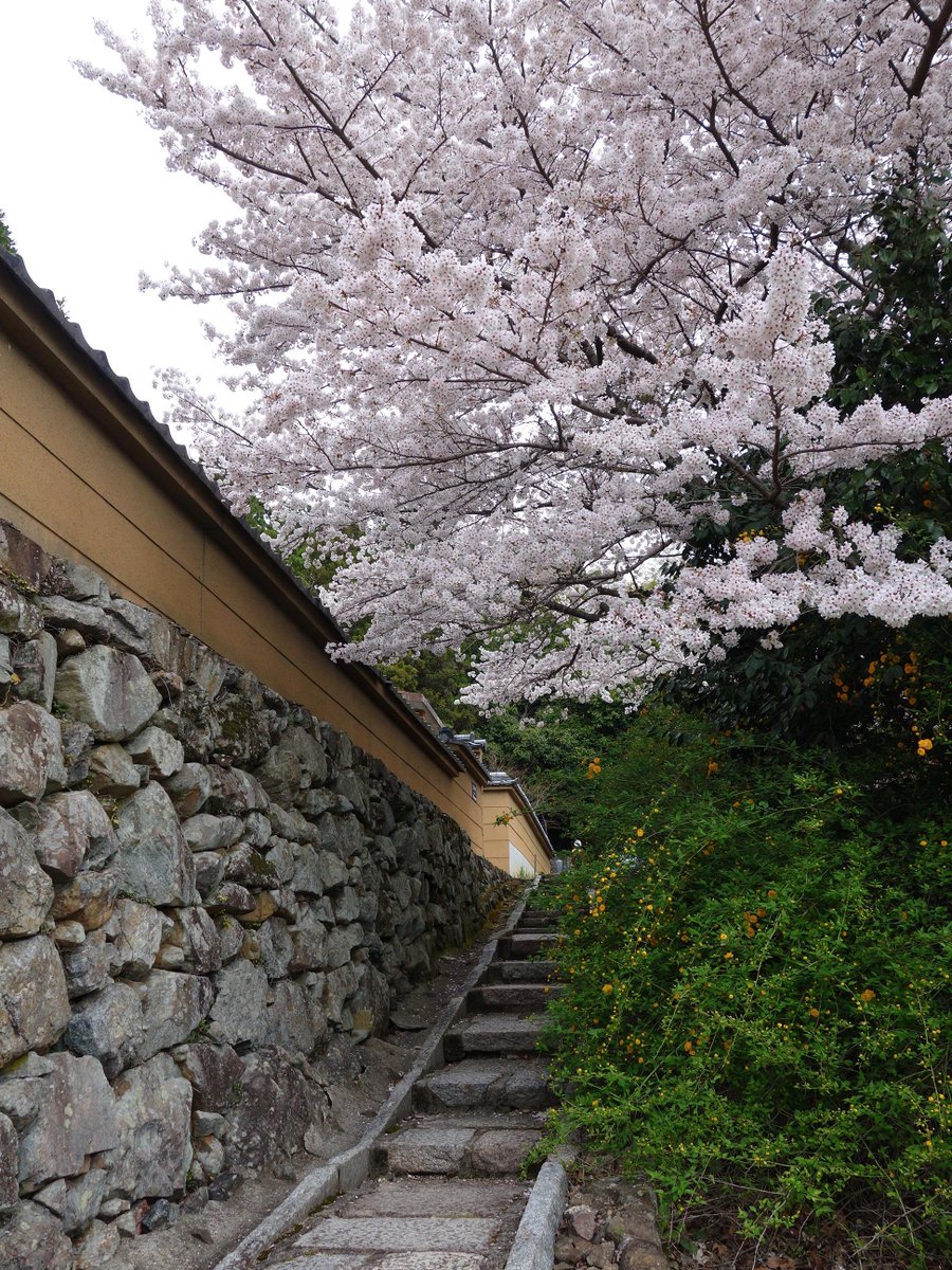 表示できませんでした。アップロード者により削除された可能性があります。他の写真をお楽しみください。