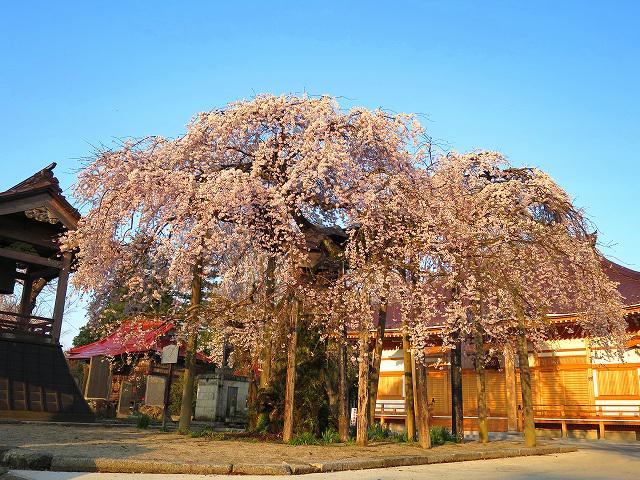 表示できませんでした。アップロード者により削除された可能性があります。他の写真をお楽しみください。