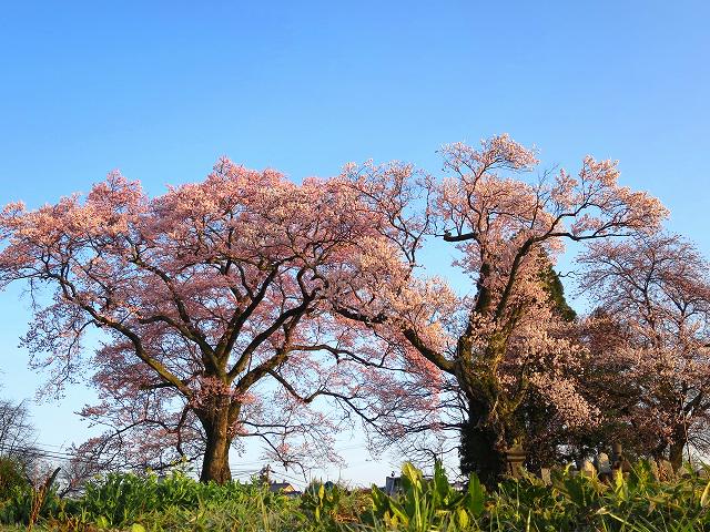 表示できませんでした。アップロード者により削除された可能性があります。他の写真をお楽しみください。
