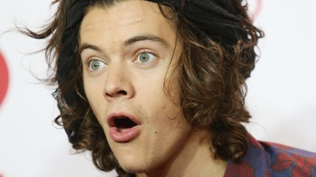 Harry Styles Is Hung And Leaked Nude Pic To Prove It 