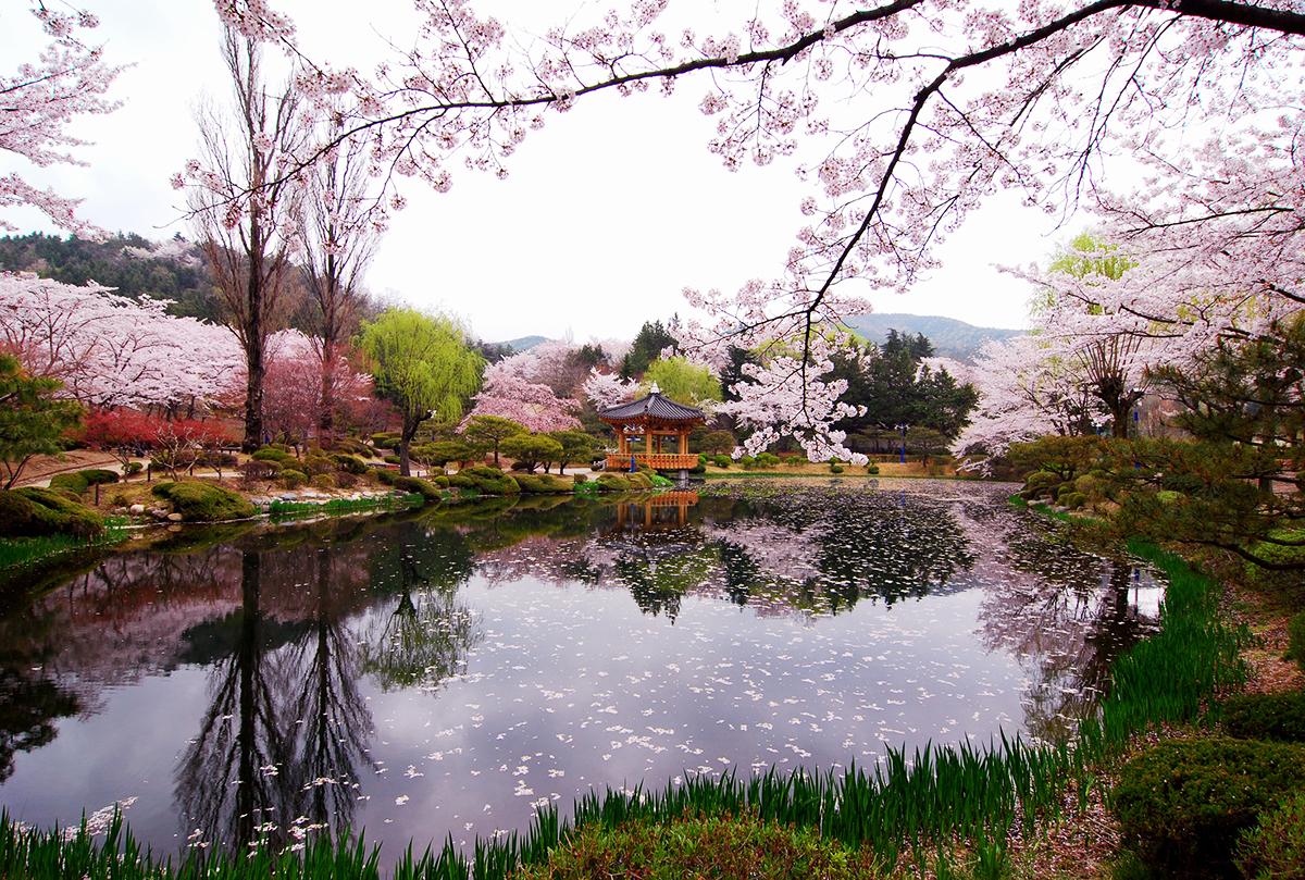 #봄여행 세계적인 역사도시 #경주 에도 봄이 왔습니다. 호수를 둘러싼 산책로와 자전거길이 아름다워 봄나들이코스로 손꼽히는 이곳, #보문호 를 바라보며 오늘도 #설레는여행 을 떠나봐요 http://t.co/CAk1wE9mox