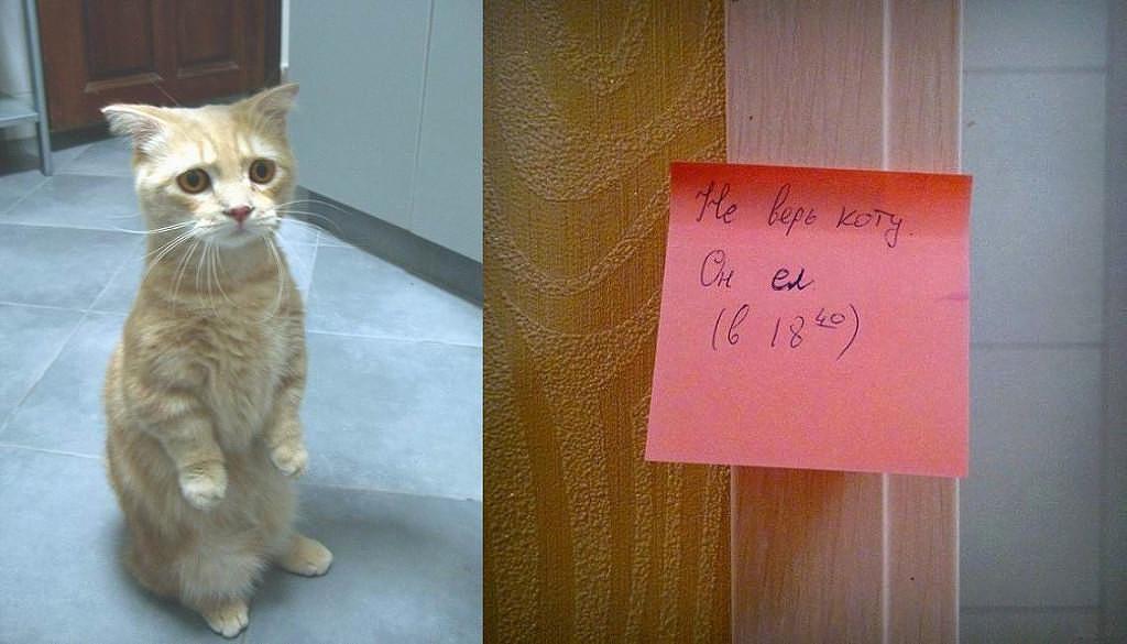 Посмеялся сам - поделись с другом!!!