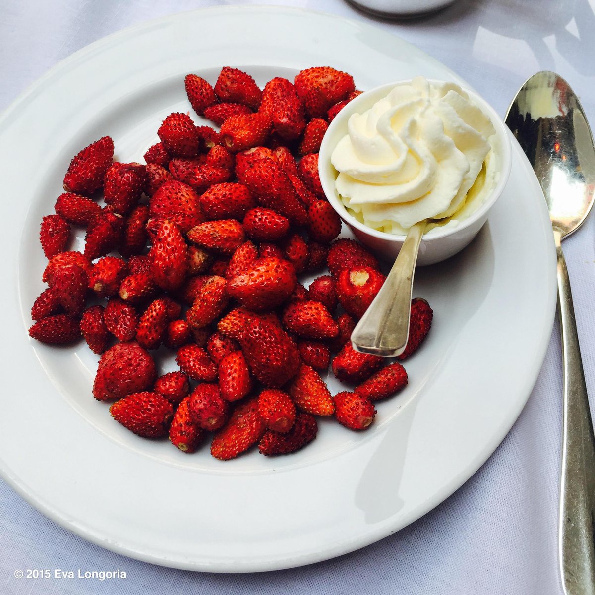 I'm in heaven with my fraises des bois! @GlobalGiftFound #Paris http://t.co/0QcT7wpkkH