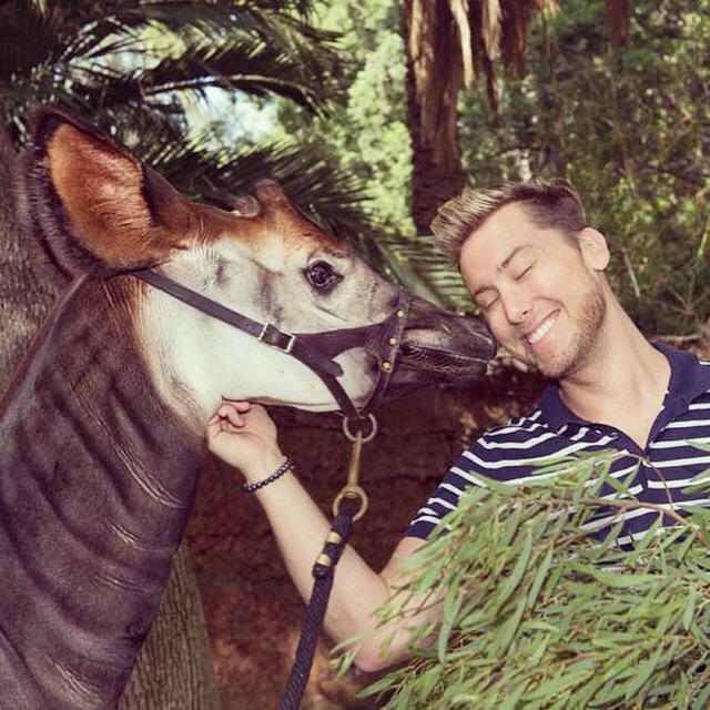 RT @LanceBassCntrl: .@LanceBass will be honored at @LAZoo Beastly Ball on June 20th http://t.co/574Suzf4k7 http://t.co/DwhHGMbOVo