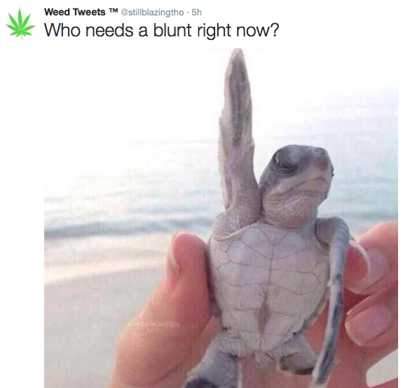 #puffpuffpasstuesdays wake n bake http://t.co/M5HREXrZs6