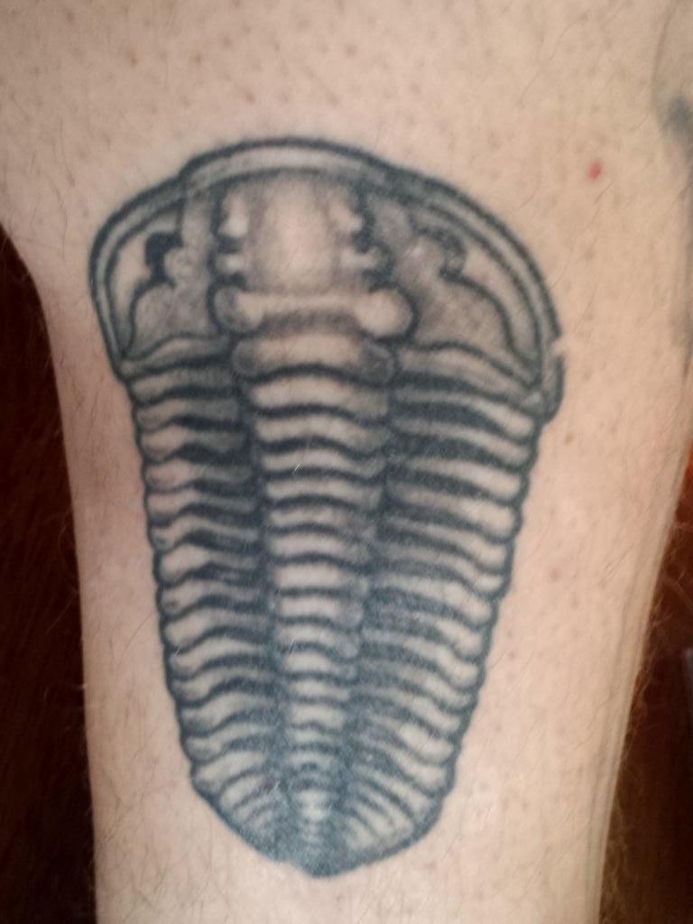 21 Tattoos That Prove Science Is The Most Beautiful Thing Of All 21 Tattoos That Prove Science Is The Most Beautiful Thing Of All