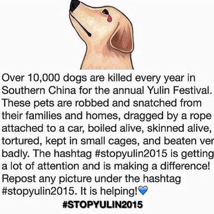I'm ashamed to be a human. Go & look at the images of what they do here. We can't let this happen #StopYuLin2015 http://t.co/805lFm5BDr