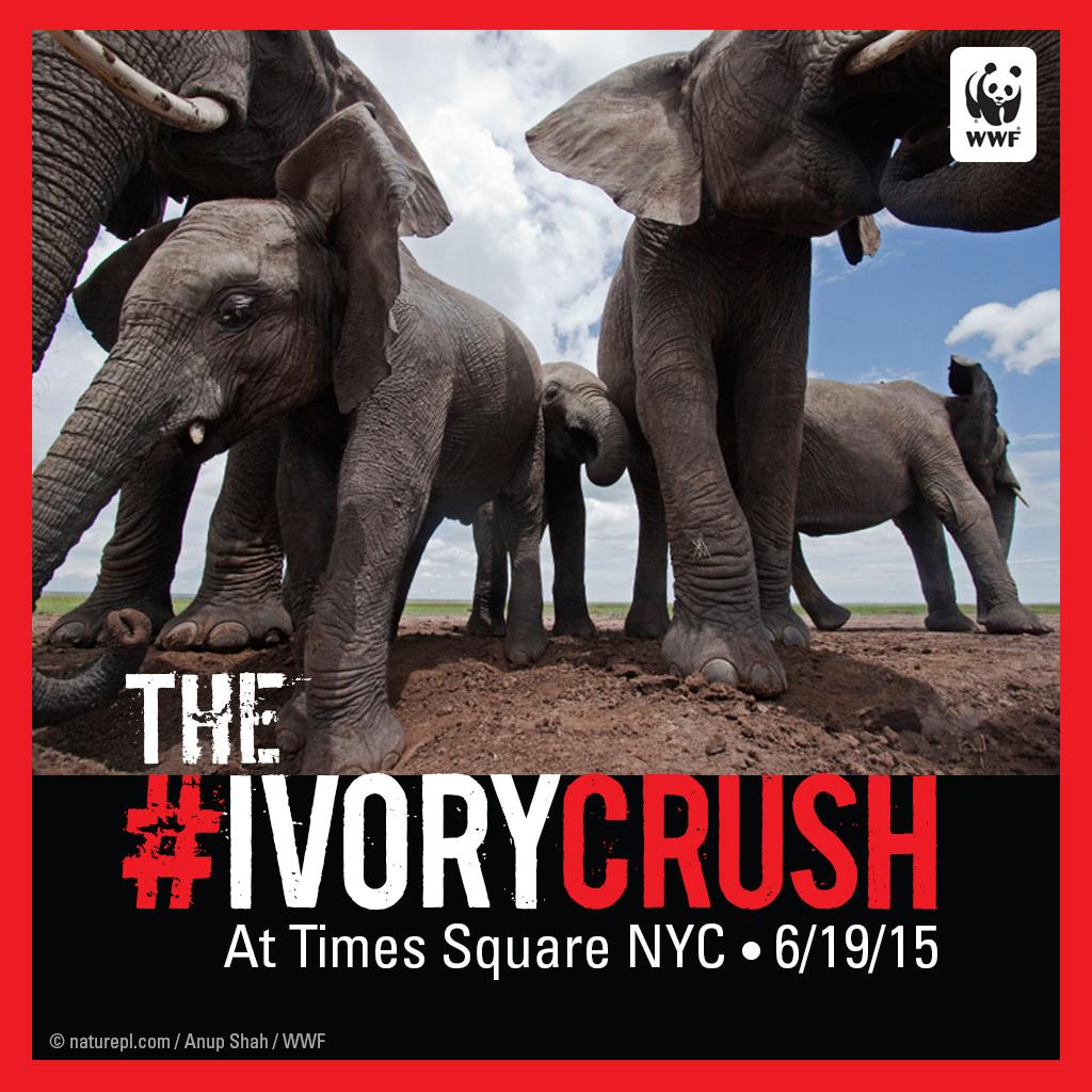RT @World_Wildlife: Times Square. June 19th. The next step in a GLOBAL effort to save elephants. Stay tuned for more. #ivorycrush Pls RT ht…