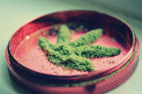 #420smokebreak http://t.co/cCGBXeJSsg