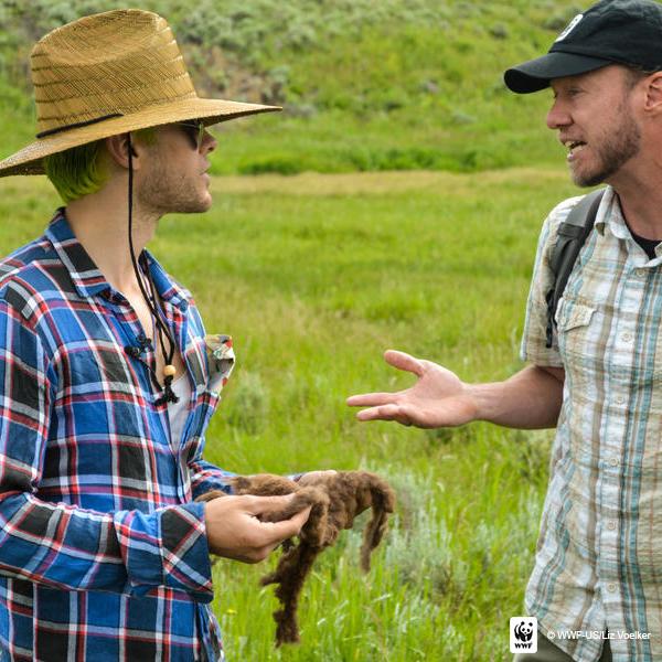 RT @World_Wildlife: WWF’s @RattlesnakeDen with @JaredLeto talking bison. Read more: http://t.co/9QuzKjZh41  #greatwideopen http://t.co/5Dyo…