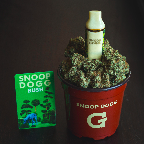 #puffpuffpasstuesdays get #BUSH album free wit ur #BUSH #gpro @gpen now jacc !! http://t.co/GiJYhEIG6c http://t.co/SMWI34UZij