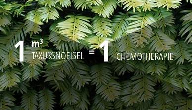 Bron: Gemeente Heiloo