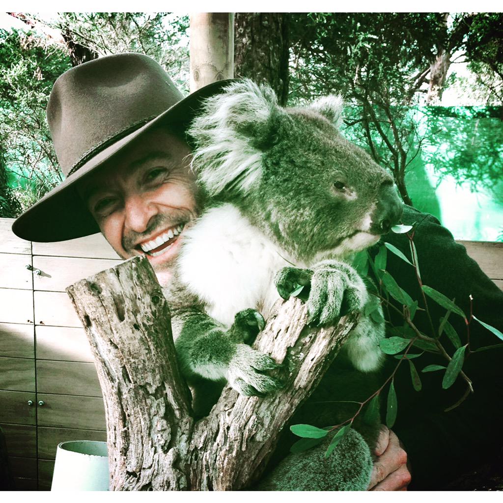 Happy hug a koala day!! (Made that right up - but couldn't resist!) #happy http://t.co/mqKNHHd2Vn