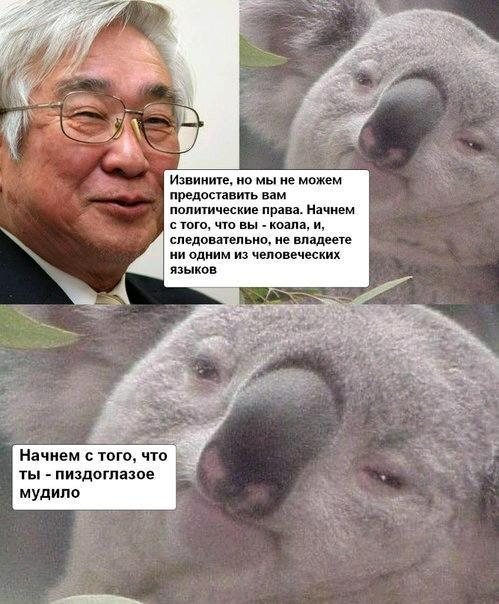 http://pbs.twimg.com/media/CJS8oABWgAATrkH.jpg