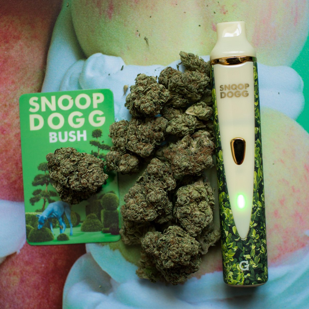 #puffpuffpasstuesdays get ur #BUSHedition @GPen #gpro wit a free dl of my album #BUSH at http://t.co/GiJYhF0gXK ! http://t.co/9J8wl0jw9Q