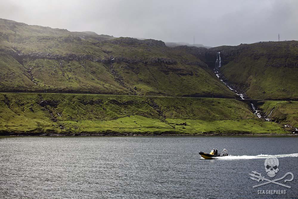 The bloody slaughter of the grind is a stark contrast to the natural beauty of the Faroe Islands. http://t.co/k8ugGNT3e1