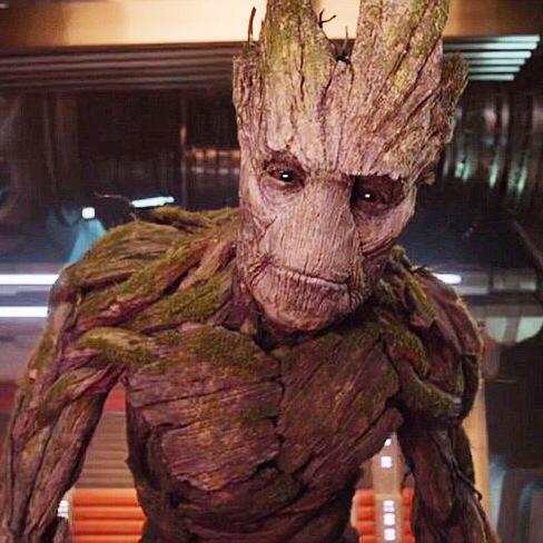 Find Groot at @Comic_Con this year & tag me in the picture! I’ll send 1 fan a signed Blu-ray copy of @Guardians #SDCC http://t.co/Sps15ehR2Z