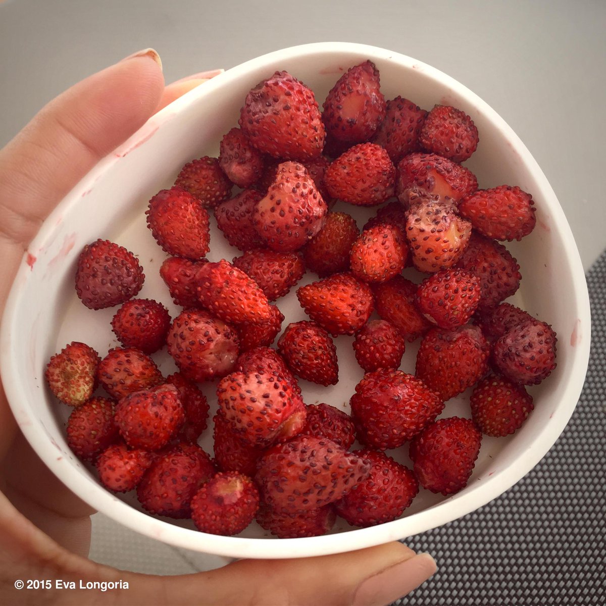 Woke up to this little piece of heaven today! #FraisesDesBois #WildStrawberries #Italy http://t.co/Ynm8jrzWr7