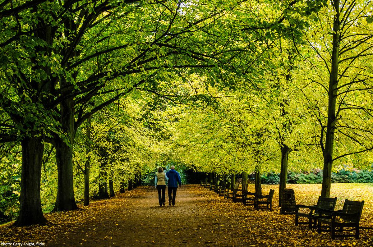 RT @Wilderness: Yes, a walk in the park really is good for your brain: http://t.co/ZgMcQkrrcP (You probably knew that...) http://t.co/1AMbA…