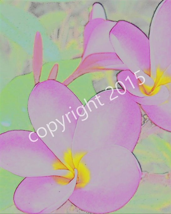 #artforgood
Available
PALM BEACH BLOSSOMS
8X10 watercolor on paper
By Susan Riobo
$55.00 #art #painting #charity
http://t.co/ocMqfIbrES palm beach from twitter @artforgood1