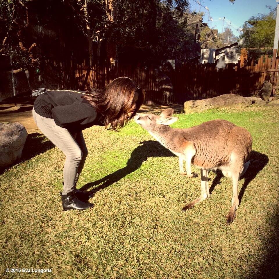 Couldn't come to #Sydney without giving Peggy a kiss! Thx @tarongazoo for the tour! #SpecsaversStyle http://t.co/ujJudN7k1P