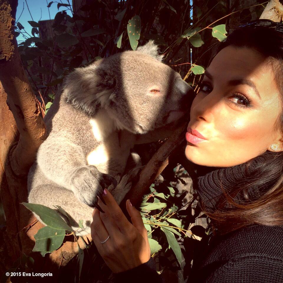 Had to kiss this little guy too here in #Sydney, well he's actually kissing me...@TarongaZoo #SpecSaversStyle http://t.co/71WuN7bN2Y