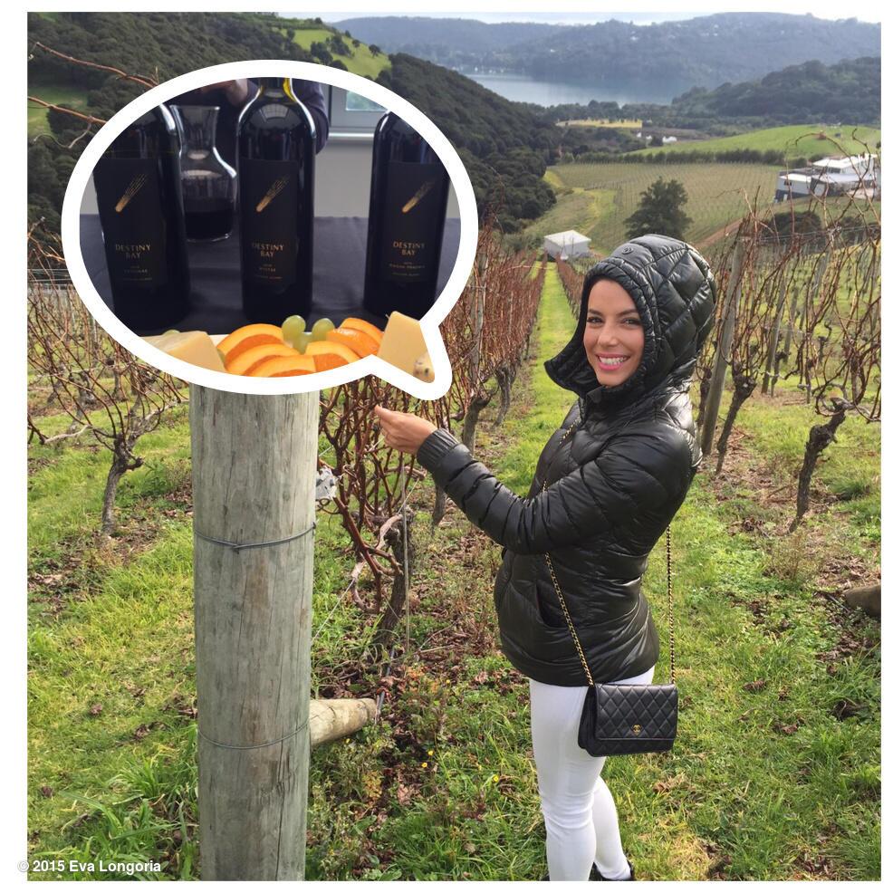 A great day in #NewZealand @destinybay vineyards! Thx Sean! #DestinyBay http://t.co/BFxH7DRlrH