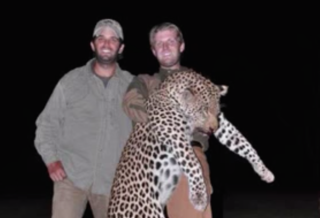 RT @MotherJones: Here's your reminder Donald Trump's sons are also big game hunters http://t.co/nMpGyYm9TD http://t.co/aSiZWXghAD