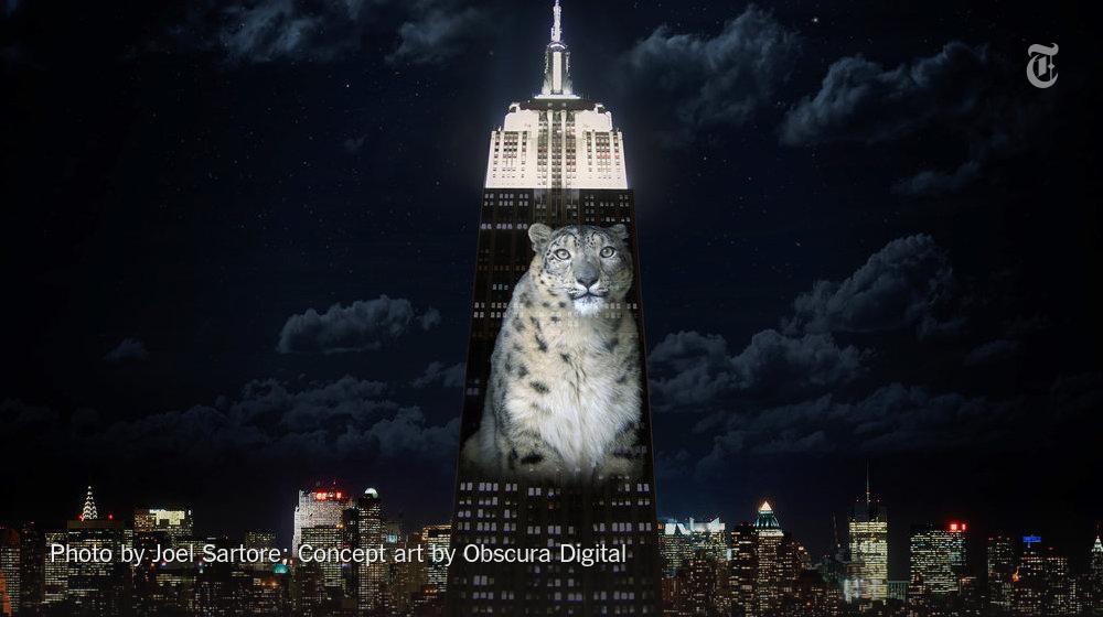 RT @nytimes: Images of endangered species will be projected on the Empire State Building on Saturday http://t.co/vL0Z0INZQj http://t.co/VWX…