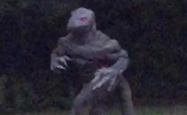 Swamp Lizard Famous Swamp Lizard Captured On Camera 2015, UFO Sighting News