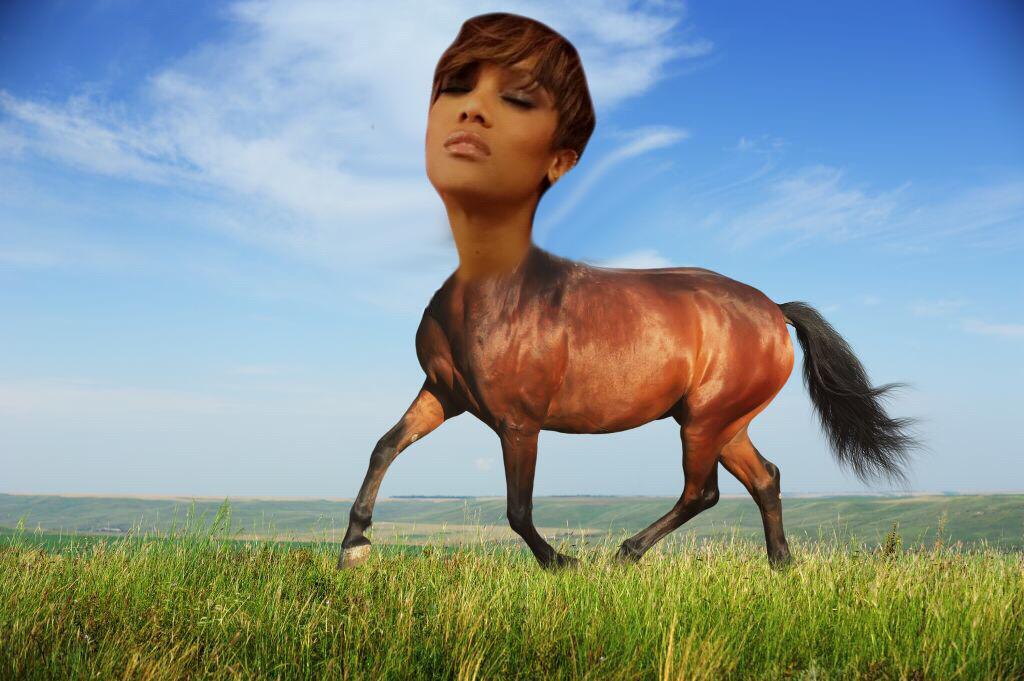 RT @BrookinAwesome: @tyrabanks wasn't horsing around last night in @CW_ANTM #ANTMCycle22 #ANTM http://t.co/Y1nqw5ZtDP
