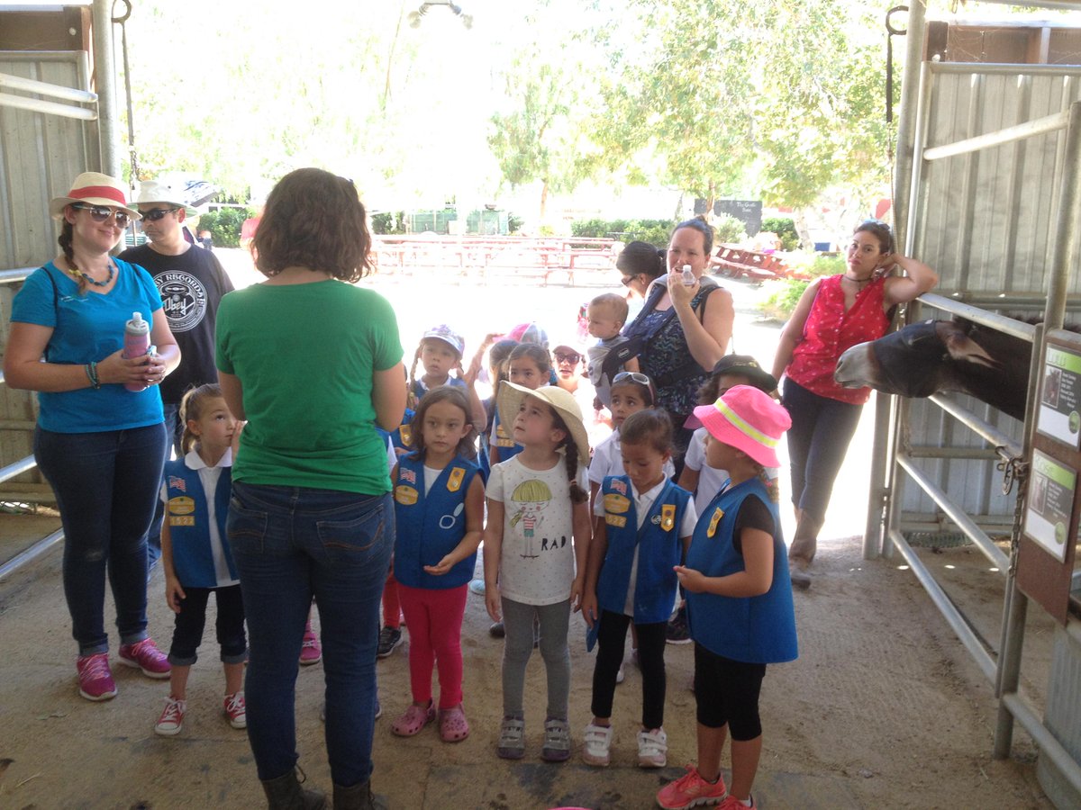 RT @GentleBarn: We had a group of Daisies come visit us! They learned how to be animal heroes! http://t.co/w8nL2rFoz2