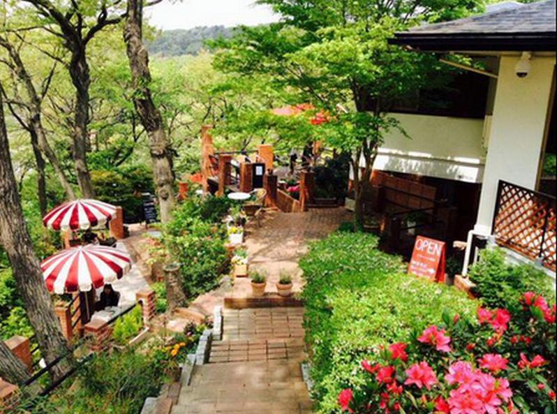 【Cafe terrace 樹ガーデン】(鎌倉)天空の城ラピュタみたい☆マイナスイオンたっぷりで本当にくつろげるよ♪BB 【Cafe terrace 樹ガーデン】(鎌倉)天空の城ラピュタみたい☆マイナスイオンたっぷりで本当にくつろげるよ♪BB